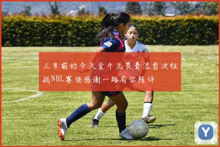三年前的今天金牛无畏青涩首次征战NBL赛场感谢一路有你陪伴