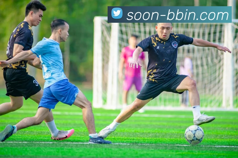 BBIN体育APP 封面图